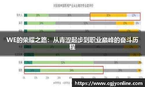 WE的荣耀之路：从青涩起步到职业巅峰的奋斗历程